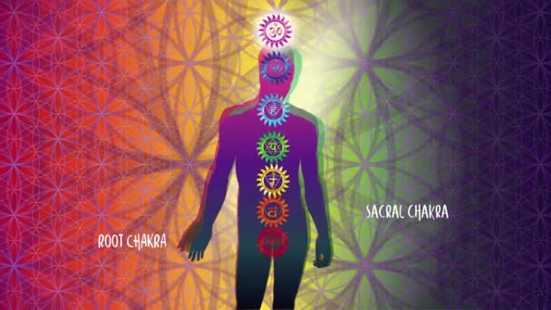 Sistem Chakra Berwarna Warni Representasi Visual Simbolis Dari Lokasi Dan — Stok Video