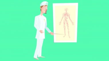 Anatomik atlas üzerine açıklayıcı bir konferans veren bir doktorun karikatür videosu. Video döngüye alındı ve şeffaf bir arkaplan alfa kanalı içeriyor. 