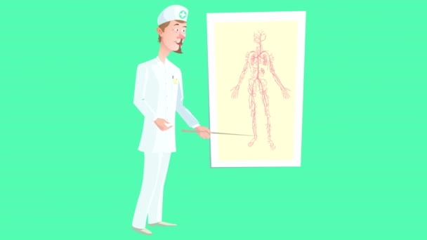 Cartoon Video Doctor Who Leads Explanatory Lecture Showing Anatomical Atlas — Stockvideo