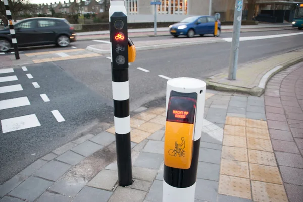 Feux de circulation pour cyclistes — Photo