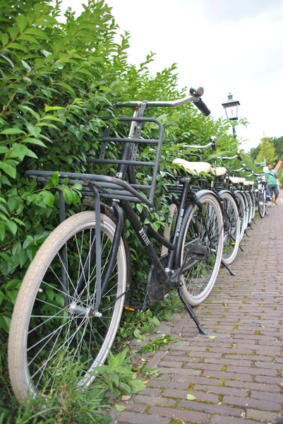 Gelijk rijwielen in een rij — Stockfoto