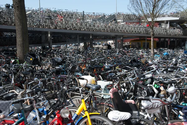 Bicycles in Amsterdam — Stock Photo, Image