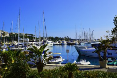 Cannes 