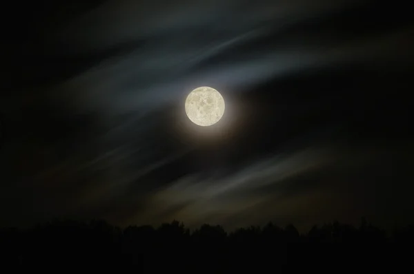 Full moon — Stock Photo, Image