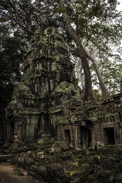 Kambodža chrám Angkor — Stock fotografie