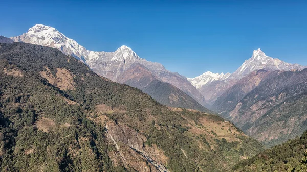 Himalayalar Annapurna Sıradağları Nepal — Stok fotoğraf