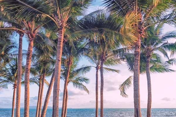 Pantai Yang Indah Thailand — Stok Foto