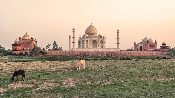 Taj Mahal Mauzóleum Agra Uttar Pradesh India — Stock Fotó