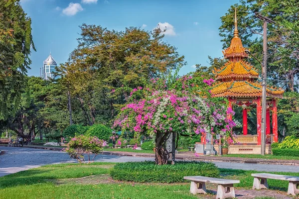 Lumphini Park Bangkoku — Zdjęcie stockowe