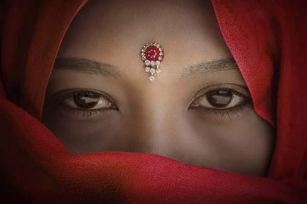 拉贾斯坦邦的印第安女士肖像 — 图库照片