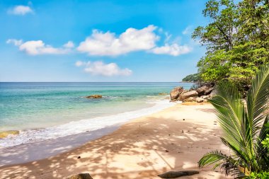 Phuket, Tayland 'da Muz Sahili