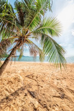 Tayland 'da güzel bir sahil
