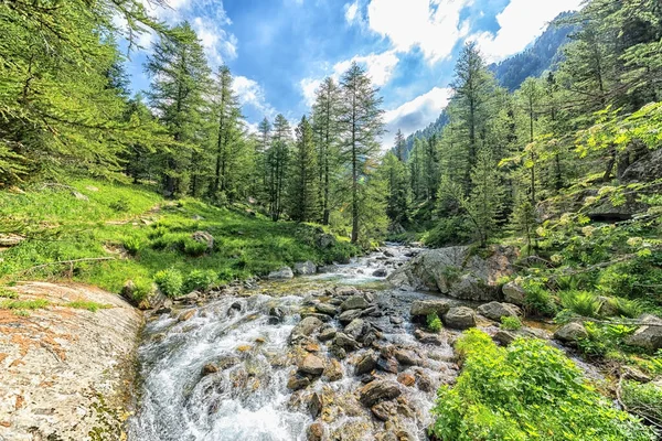 Parque Nacional Del Mercantour Francia — Foto de Stock