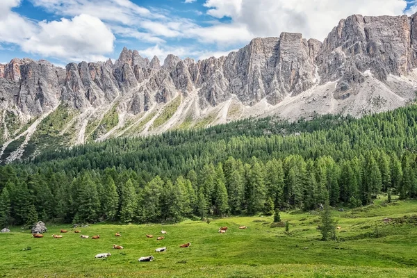 Dolomites Landscape Unesco World Heritage South Tyrol Italy — 图库照片