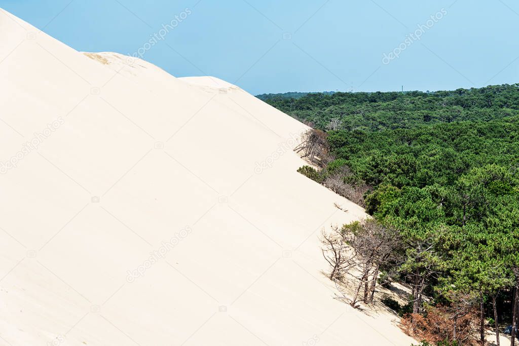 The Dune of Pilat in the South of France