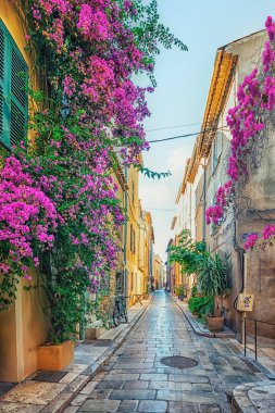 Saint-Tropez village on the French Riviera
