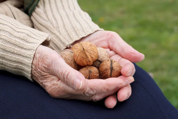 Walnüsse halten — Stockfoto