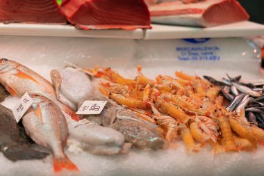 Balık pazarında buzlu deniz ürünleri.