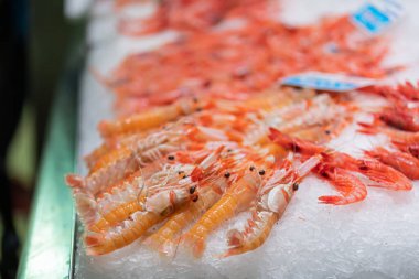 Balık pazarında buzlu deniz ürünleri.