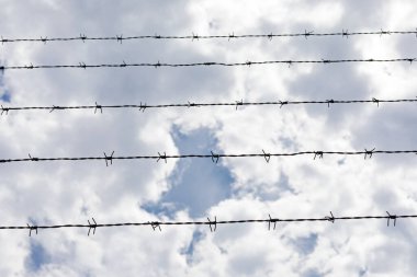 5 katmanlı dikenli telin arkasındaki mavi gökyüzü