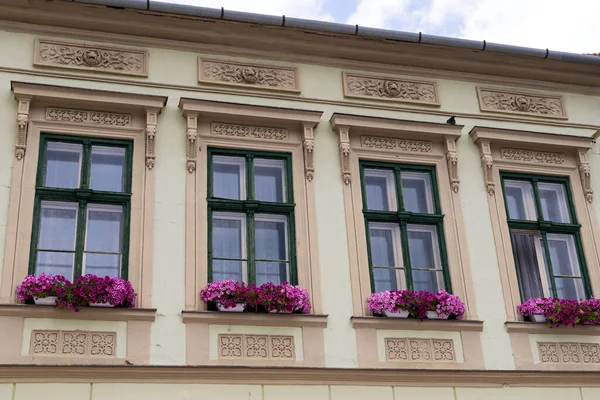 Budynek Historycznym Mieście Tokaj Węgry — Zdjęcie stockowe