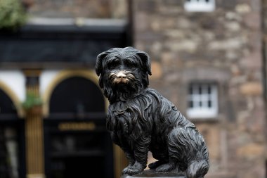 Picture of greyfriars bobby statue in edinburgh