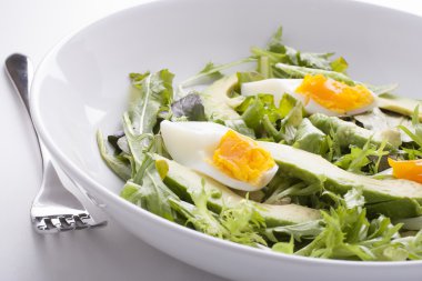 aocado salata yakın çekim