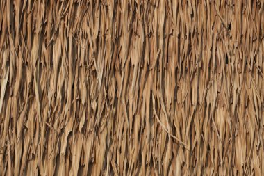 thatched çatı