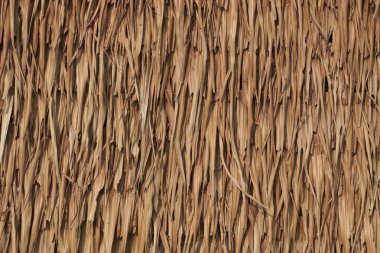 Thatched roof clipart