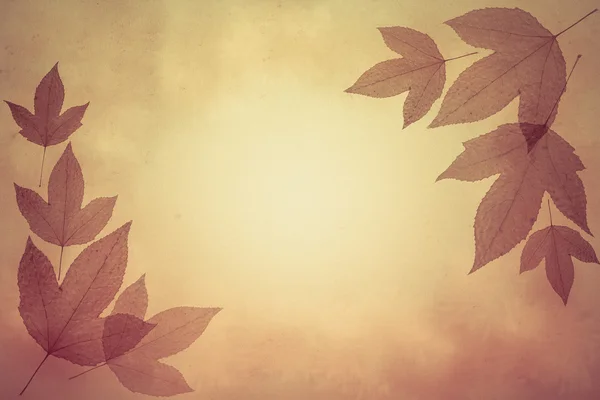 Brun grunge leaf bakgrund — Stockfoto