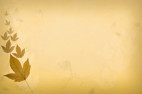 Gamla papper med lönn löv — Stockfoto