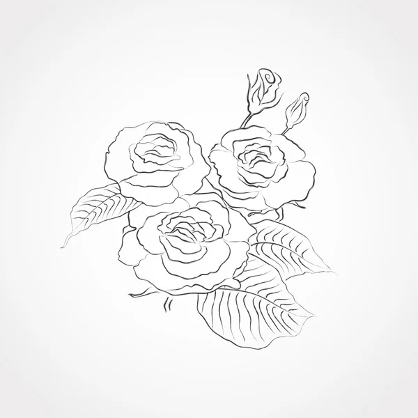 Illustration vectorielle de roses noires et blanches. SPE 10 — Image vectorielle