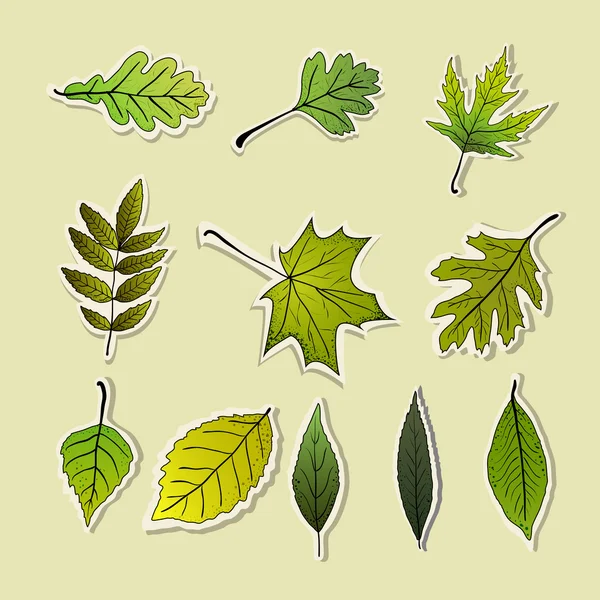 葉の集合 — ストックベクタ