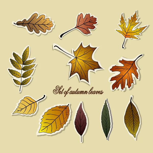 Conjunto de hojas de otoño — Vector de stock