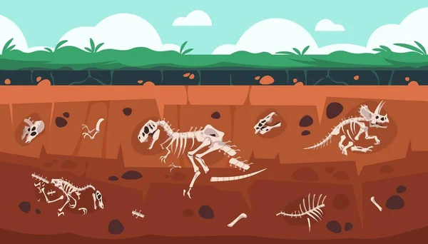 Fóssil subterrâneo. Cartoon Earth camadas de terra com esqueleto de dinossauro e crânio. Exploração científica de ossos de répteis extintos. Ilustração de escavação de geologia e paleontologia vetorial —  Vetores de Stock