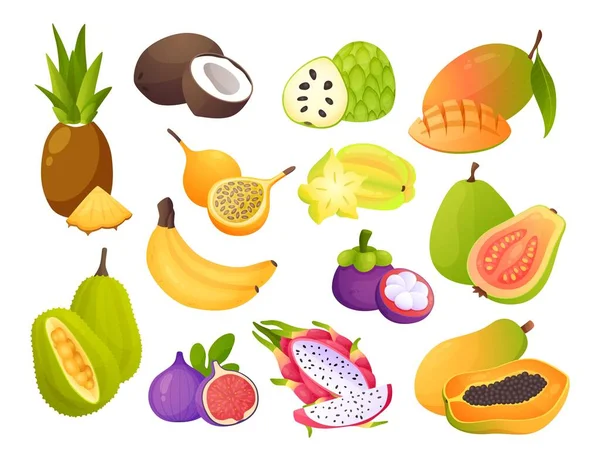 Kartun buah eksotis. Karambola Juicy dan maracuya. Buah manis, manggis atau nangka. Cherimoya alami, ara dan pitaya. Nanas, mangga dan jambu. Vektor vitamin set makanan - Stok Vektor