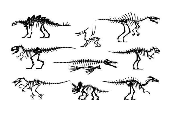 Huesos de dinosaurio negro. Esqueleto Dino y siluetas de cráneo. Fósil animal prehistórico. Jurassic tyrannosaurus and stegosaurus (en inglés). Simulación de lagarto paleontológico. Conjunto de reptiles extintos vectoriales — Vector de stock