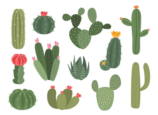 Leuke cactus. Cartoon collectie van decoratieve sappig. Home groene plant met bloesem. Woestijn exotische flora met bloemen en stekels. Landschap groen element. Vectorhuisplanten ingesteld — Stockvector