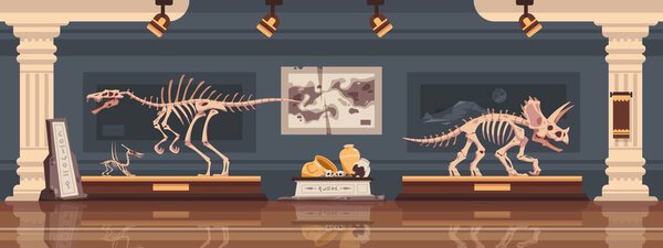 Museum interior. Paleontological exhibition with prehistoric dinosaur skeleton. Fossils and archaeological discoveries. Historical artefacts and sculls on pedestals. Vector science room