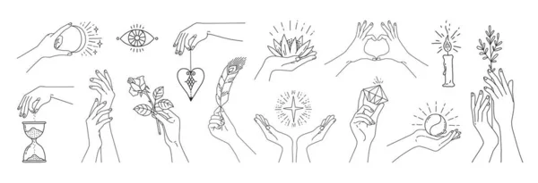 Absztrakt női kezek. Varázslatos meditáció női kar szimbólumok növények és lineáris emblémák. Lány végtagok lótuszt vagy rózsa virágot tartanak. Titokzatos jelek. A testrészek helyzete. Vektorvezeték-készlet — Stock Vector