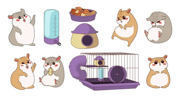 Hamster character. Cartoon curious pet with cage and wheel. Feeder or drinker. Domestic rodent poses and expressions. Funny home animal. Care accessory. Vector isolated little chipmunks set — Stock Vector