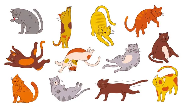 Słodki kot. Ręcznie rysowane bazgroły śmieszne domowe zwierzę rozciągające się i leżące, siedzi i swędzenie, prosty szkic czystorasowych kotów w różnych pozach. Kocięta domowe. Wektor domu zwierząt zestaw znaków — Wektor stockowy