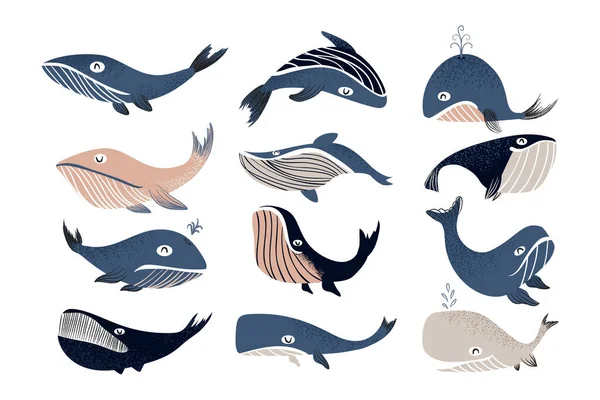 Ballena de dibujos animados. Lindos mamíferos marinos. Animal marino azul para niños ilustración. Un cachalote marino. Jorobada de natación con fuente de agua. Conjunto de elementos fauna submarina vectorial — Vector de stock