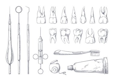 Dişçi çizimi. Elle çizilmiş stomatoloji ekipmanı farklı diş tipleriyle işlenmiş klasik oyma. Diş macunu ve diş fırçası. Diş ipi mi? Tıbbi aletler. Vektör dişçilik araçları ayarlandı