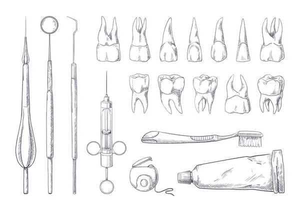 Dentist sketch. Hand drawn stomatology equipment vintage engraving with different teeth types. Toothpaste and toothbrush. Dental floss. Medical instruments. Vector dentistry tools set — 图库矢量图片