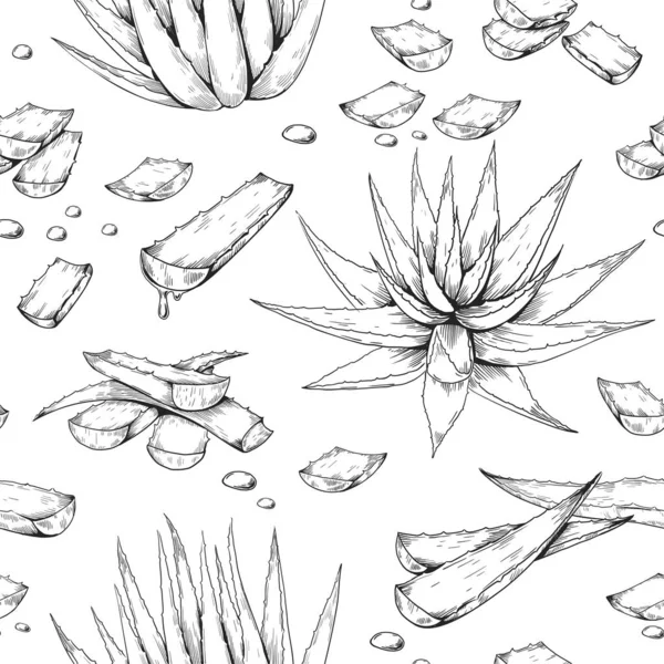 Aloe Vera pattern. Hand drawn seamless print with desert succulent. Botanical decoration for cosmetics and beauty products packaging label. Juicy leaves pieces Vector sketch texture — Vetor de Stock