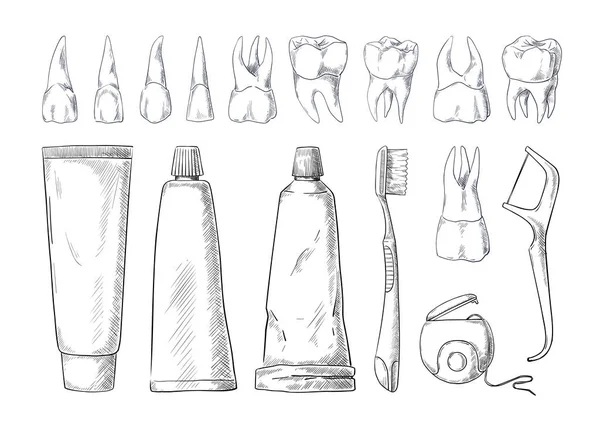 Dental hygiene sketch. Hand drawn human teeth types with toothbrush and toothpaste. Toothpick and dentistry floss. Oral health care tools. Vector black and white medical elements set — 图库矢量图片