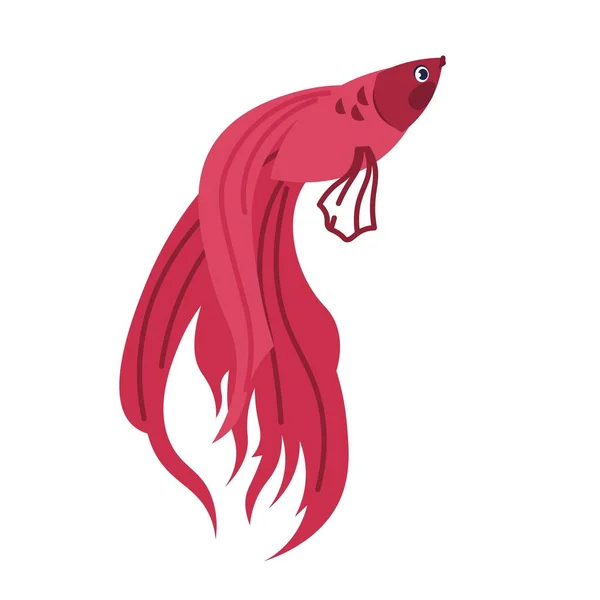 Red sea fish. Cartoon marine animal. Aquatic swimming tropical creature with long fin tail. Caribbean coral reef water fauna. Ocean nature. Vector underwater aquarium isolated element — 스톡 벡터