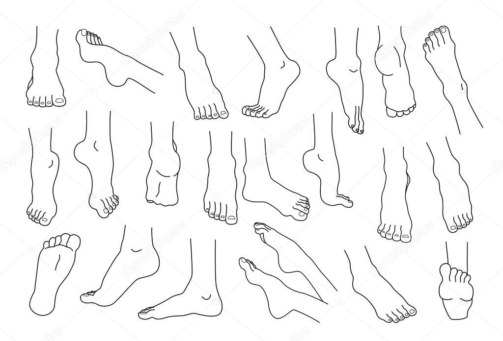 Line feet. Woman ankles and legs with heels and fingers. Beauty or medicine human body infographic elements. Spa skin care and pedicure. Naked foot soles. Vector barefoot sketches set