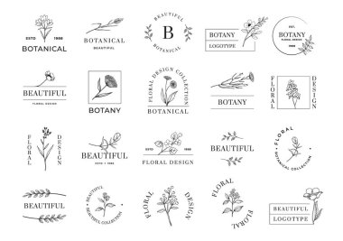 Botanik amblemi. Bitki dalları ve çiçekli minimalist soyut logo. Güzel botanik. Çiçekler ya da yapraklar. Kaligrafi simgeleri. Çiçek açan bitkiler. Vektör kır sembolleri ayarlandı